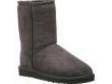 Ugg Boots,  Classic Tall Choc Brown,  Genuine New.size 3.5