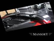 Buy Mansory Lamborghini Aventador Rear Wing Spoiler Within Budget
