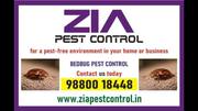 Top Bed Bug Pest Control in bangalore 6017